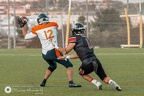 Sealand @ Voltors-31