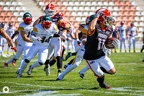 Bravos - Dragons-357