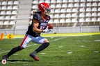 Bravos - Dragons-359