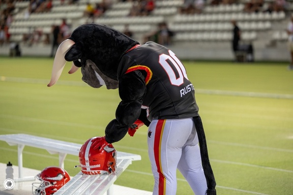 Hamburg @ Madrid-166