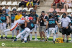Ravens@Madrid-014